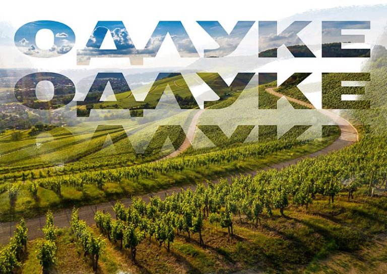 odluke